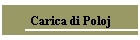 Carica di Poloj