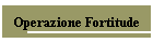 Operazione Fortitude