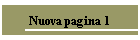 Nuova pagina 1